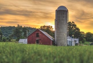 Life on the Homestead Post COVID-19